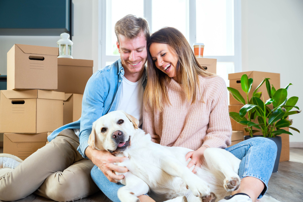 Tips For Moving With Pets: The Ultimate Guide